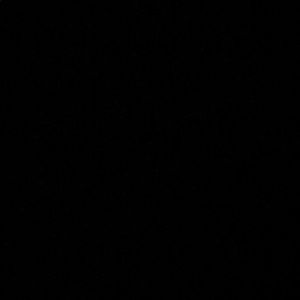 Meet your Posher, Aziz